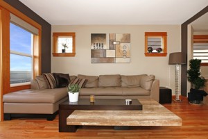 Pinetta Interior Painting